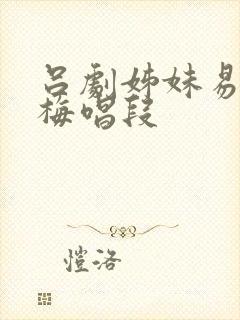 吕剧姊妹易嫁素梅唱段封面