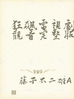 狂飙电视剧免费观看完整版高清国语