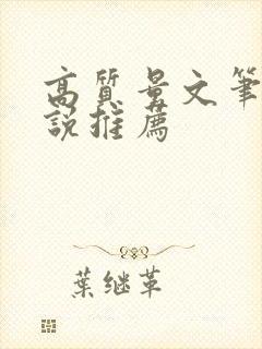 高质量文笔好小说推荐