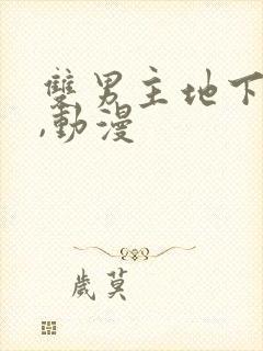 双男主地下偶像,动漫