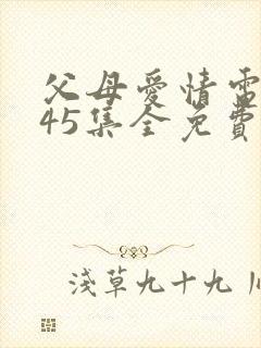 父母爱情电视剧45集全免费
