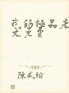 我的极品老婆全文免费