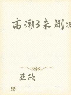 高潮3未删减版封面