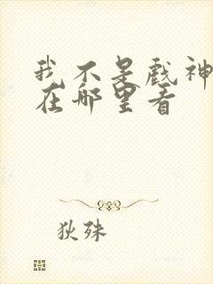 我不是戏神小说在哪里看封面