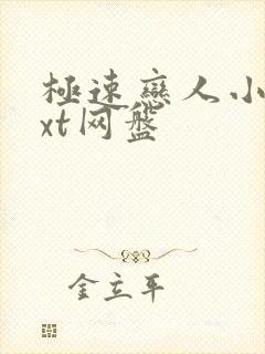 极速恋人小说txt网盘封面