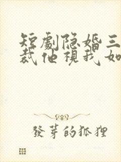 短剧隐婚三年总裁他视我如尘免费观看封面