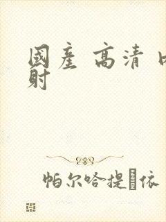 国产 高清 内射