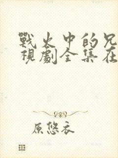 战火中的兄弟电视剧全集在线观看