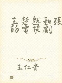 王楚然和张凌赫的电视剧