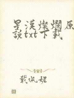 星汉灿烂原著小说txt下载