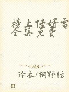 榜上佳婿电视剧全集免费