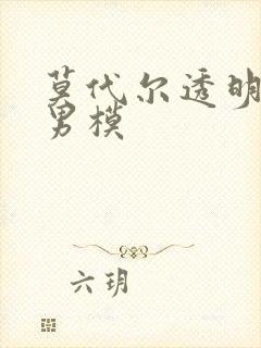 莫代尔透明内裤男模