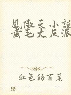 凤傲天小说里的黄毛大反派小说