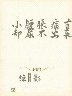 小腹胀痛有尿意却尿不出来