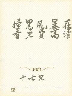 扫黑风暴在线观看免费高清封面