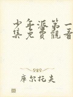 少年派第一季全集免费观看完整版