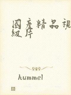 国产精品视频一级片