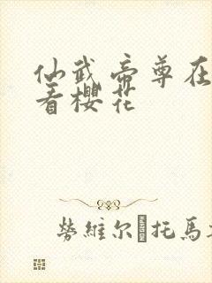 仙武帝尊在线观看樱花