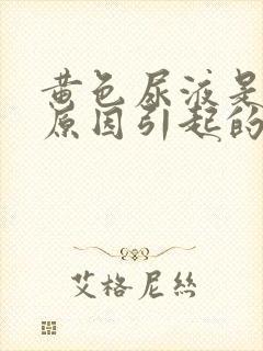 黄色尿液是什么原因引起的