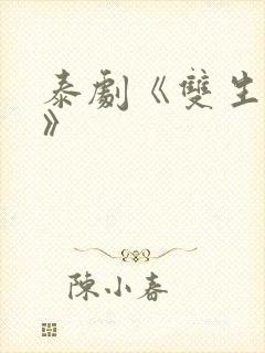 泰剧《双生对决》