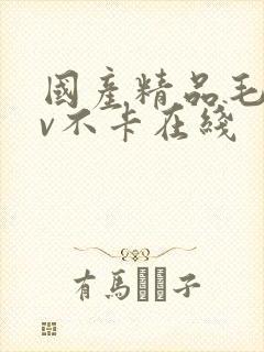 国产精品毛片av不卡在线