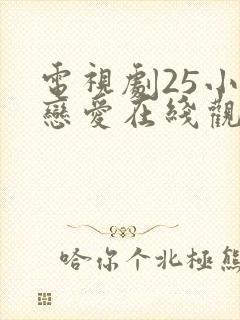 电视剧25小时恋爱在线观看免费全集