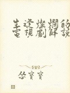 生逢灿烂的日子电视剧解说