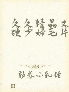 久久精品又粗又硬少妇毛片