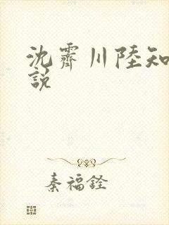 沈霁川陆知意小说