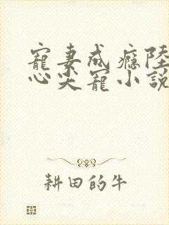 宠妻成瘾陆少的心尖宠小说