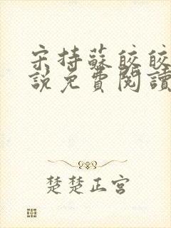 宋持苏皎皎的小说免费阅读