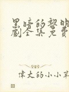 黑暗的黎明电视剧全集免费观看