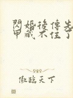 闪婚后传先生马甲藏不住了