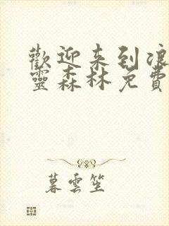 欢迎来到浪荡精灵森林免费观看