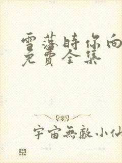 雪落时你向南飞免费全集封面