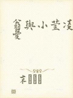 翁与小莹凌晨欢爱封面