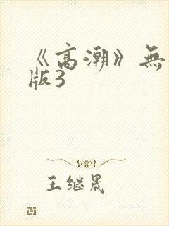 《高潮》无删减版3封面