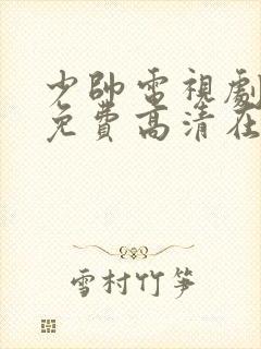 少帅电视剧全集免费高清在线