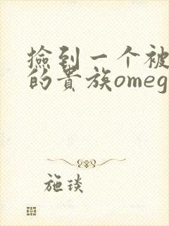 捡到一个被抹布的贵族omega