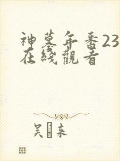 神墓年番23集在线观看