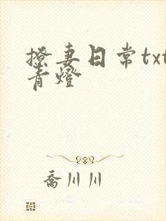 撩妻日常txt青灯