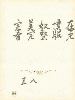 完美奴仆在线观看完整版免费高清电视剧封面