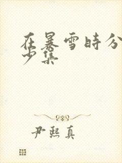 在暴雪时分共多少集