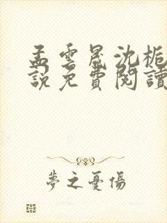 孟云晟沈栀意小说免费阅读最新章节