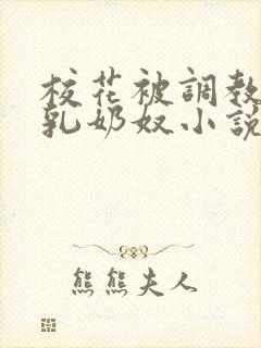 校花被调教成大乳奶奴小说封面