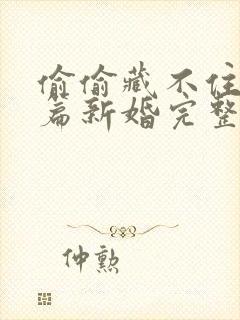 偷偷藏不住番外篇新婚完整版