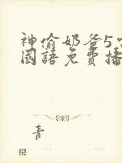 神偷奶爸5电影国语免费播放封面