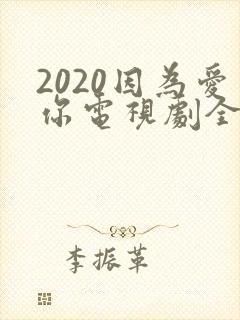 2020因为爱你电视剧全双男主封面