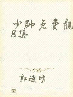 少帅免费观看48集