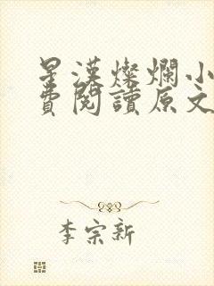 星汉灿烂小说免费阅读原文